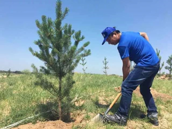 1560326255.jpg 20180701008.jpg