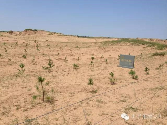 1560391904.jpg 20170704-001.jpg