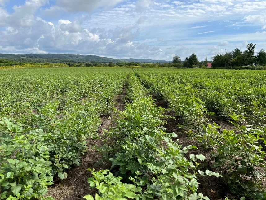 1770863962900999.png 456.png